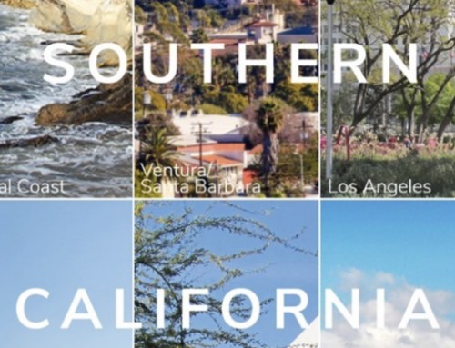 ASLA SoCal Takes over National’s Instagram for WLAM