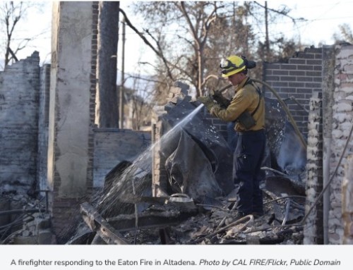 How to Help Those Impacted by the L.A. Wildfires