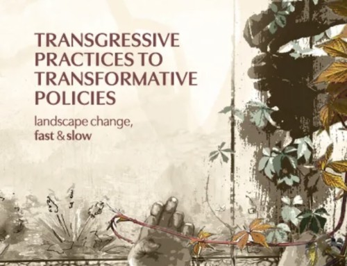 Transgressive Practices to Transformative Policies